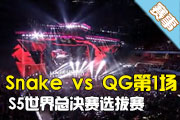 总决赛选拔赛 Snake vs QG 第1场